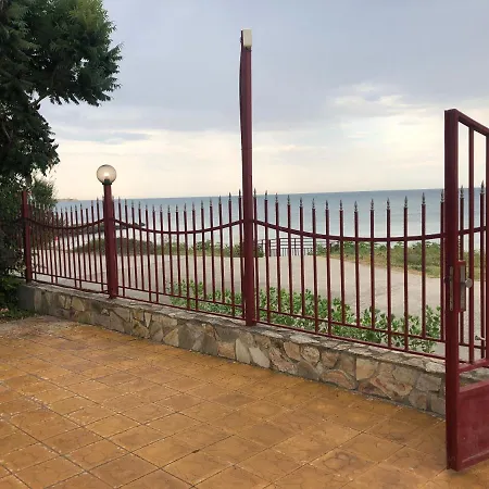 Bela-alex * רבדה