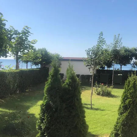 Bela-alex * רבדה