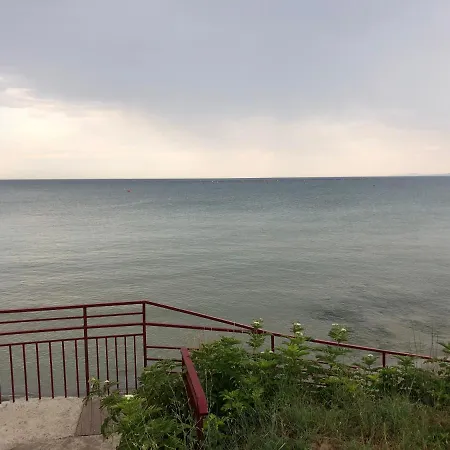 Bela-alex * רבדה