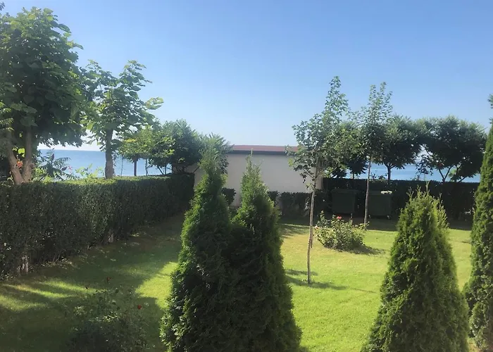 Bela-alex * Равда