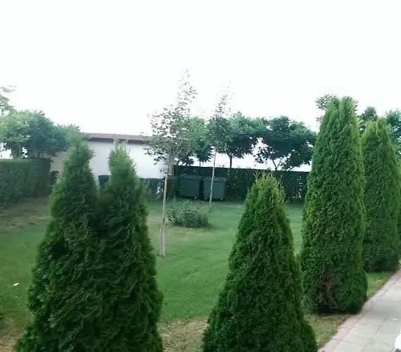 Bela-alex * Равда