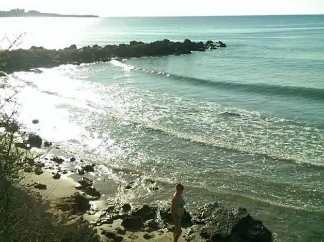 Bela-alex Равда