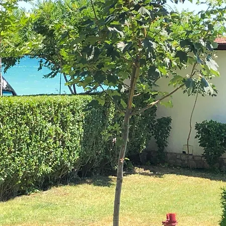 Bela-alex Apartment Ravda